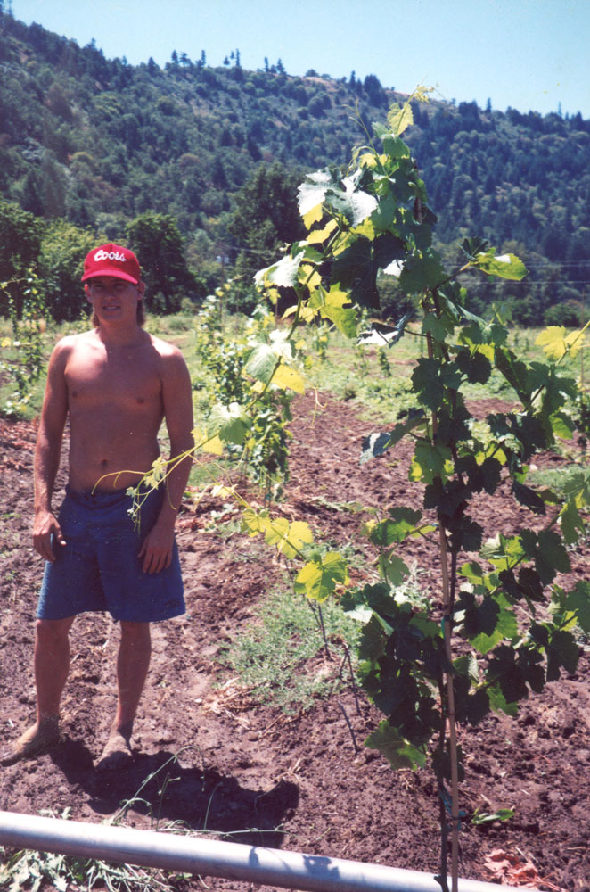 Freed Estate Winery vineyard